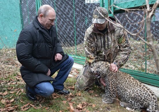 Vladimir Putin visits leopard breeding and rehabilitation center in Sochi