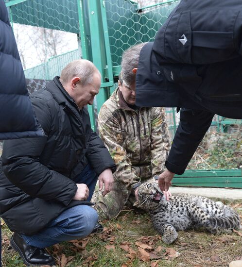Vladimir Putin visits leopard breeding and rehabilitation center in Sochi