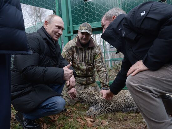 Vladimir Putin visits leopard breeding and rehabilitation center in Sochi