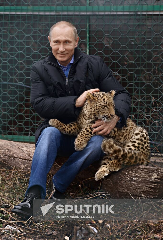 Vladimir Putin visits leopard breeding and rehabilitation center in Sochi