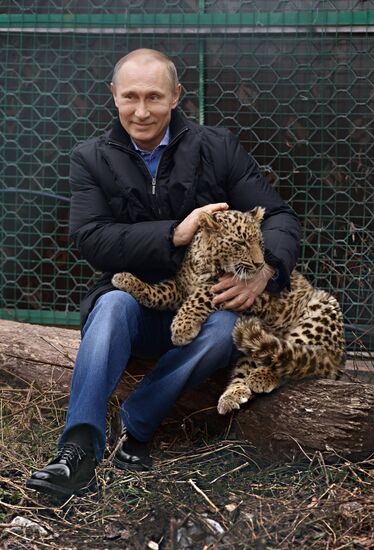 Vladimir Putin visits leopard breeding and rehabilitation center in Sochi
