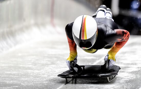 XXII Olympic Winter Games. Skeleton. Training sessions