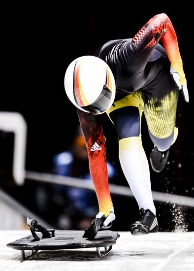 XXII Olympic Winter Games. Skeleton. Training sessions