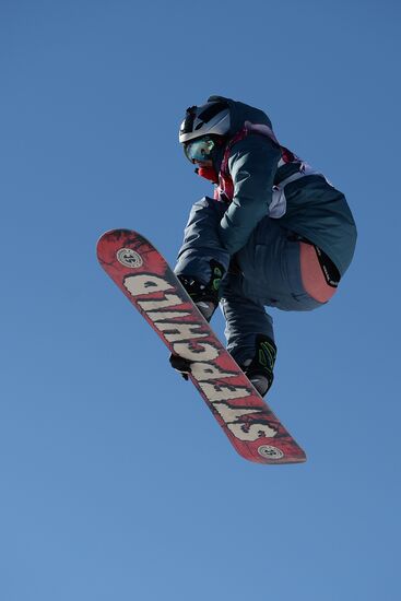 2014 Winter Olympics. Snowboarding. Men. Slopestyle. Qualification