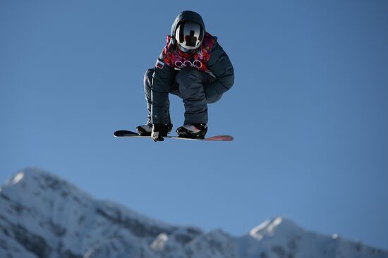 2014 Winter Olympics. Snowboarding. Men. Slopestyle. Qualification