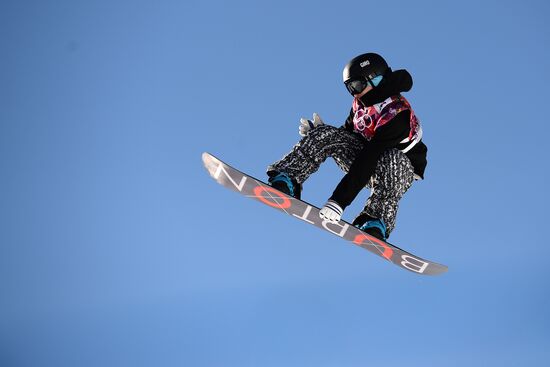 2014 Winter Olympics. Snowboarding. Men. Slopestyle. Qualification