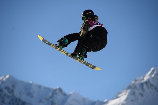 2014 Winter Olympics. Snowboarding. Men. Slopestyle. Qualification