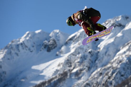 2014 Winter Olympics. Snowboarding. Men. Slopestyle. Qualification