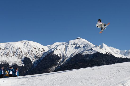2014 Winter Olympics. Snowboarding. Men. Slopestyle. Qualification