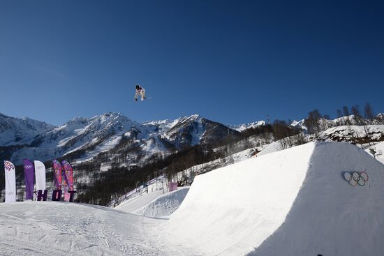 2014 Winter Olympics. Snowboarding. Men. Slopestyle. Qualification
