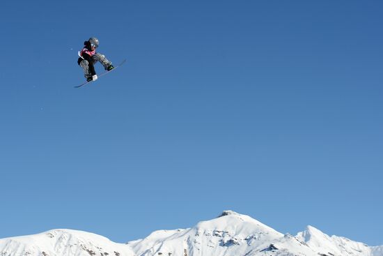 2014 Winter Olympics. Snowboarding. Men. Slopestyle. Qualification