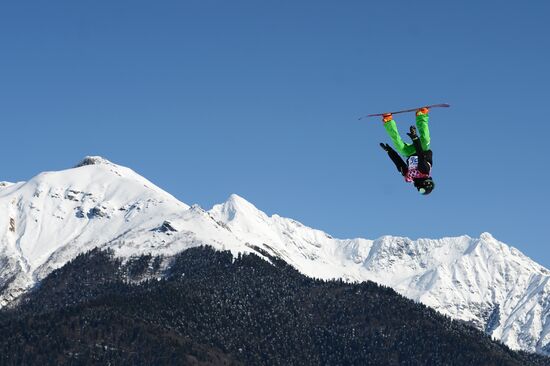 2014 Winter Olympics. Snowboarding. Men. Slopestyle. Qualification