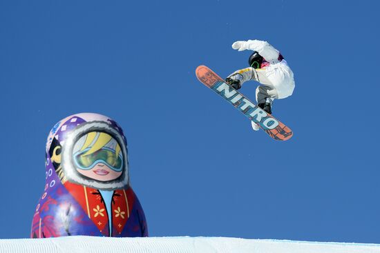 2014 Winter Olympics. Snowboarding. Men. Slopestyle. Qualification