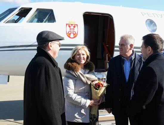 Heads of state arrive in Sochi