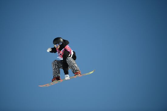 2014 Winter Olympics. Snowboarding. Men. Slopestyle. Qualification