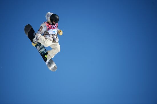 2014 Winter Olympics. Snowboarding. Men. Slopestyle. Qualification
