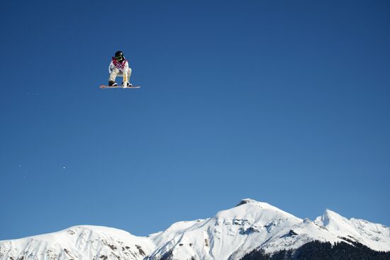 2014 Olympics. Snowboarding. Men. Slopestyle. Qualification