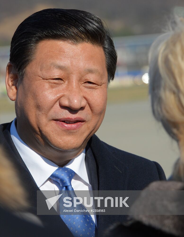 Heads of state arrive in Sochi