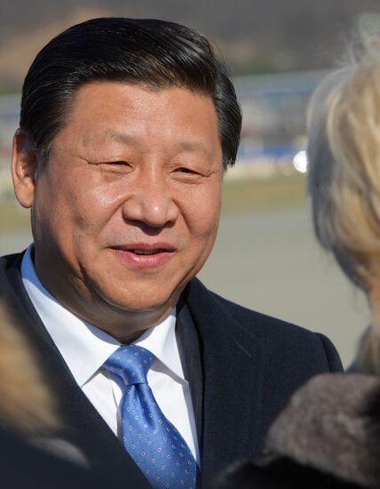 Heads of state arrive in Sochi