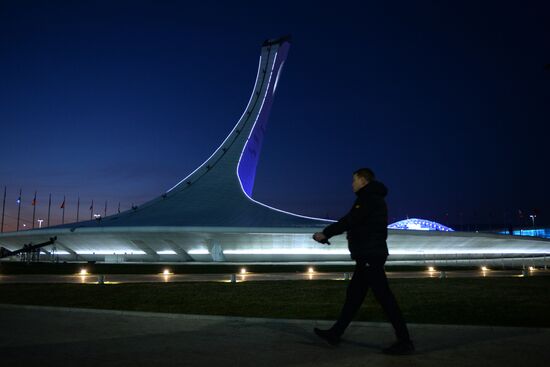 Spectators arrive at the open ceremony of the 2014 Winter Olympics
