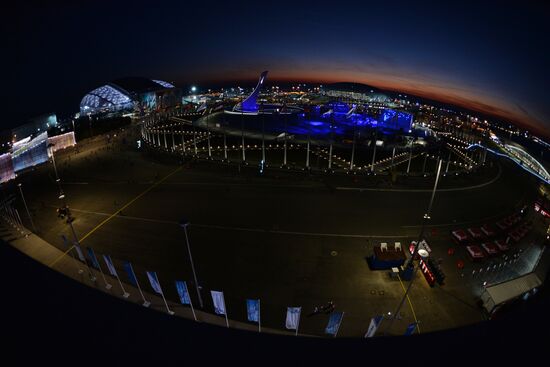 Spectators arrive at the opening ceremony of the 2014 Winter Olympics