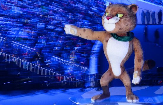 Opening ceremony of XXII Olympic Winter Games