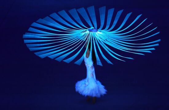 Opening ceremony of XXII Olympic Winter Games