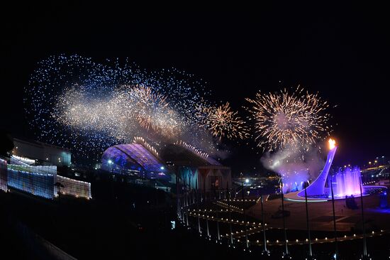 Sochi celebrates XXII Olympic Winter Games opening ceremony