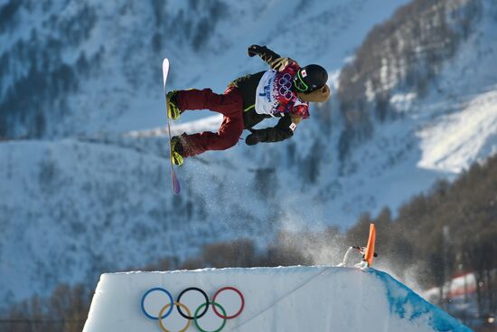 2014 Winter Olympics. Snowboarding. Men. Slopestyle. Final