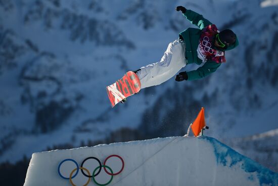 2014 Winter Olympics. Snowboarding. Men. Slopestyle. Final
