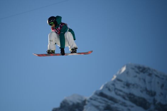 2014 Winter Olympics. Snowboarding. Men. Slopestyle. Final