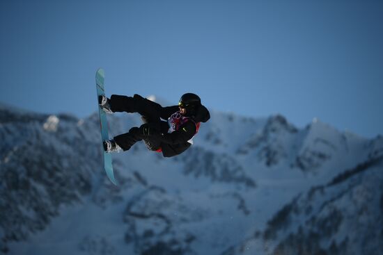 2014 Winter Olympics. Snowboarding. Men. Slopestyle. Final