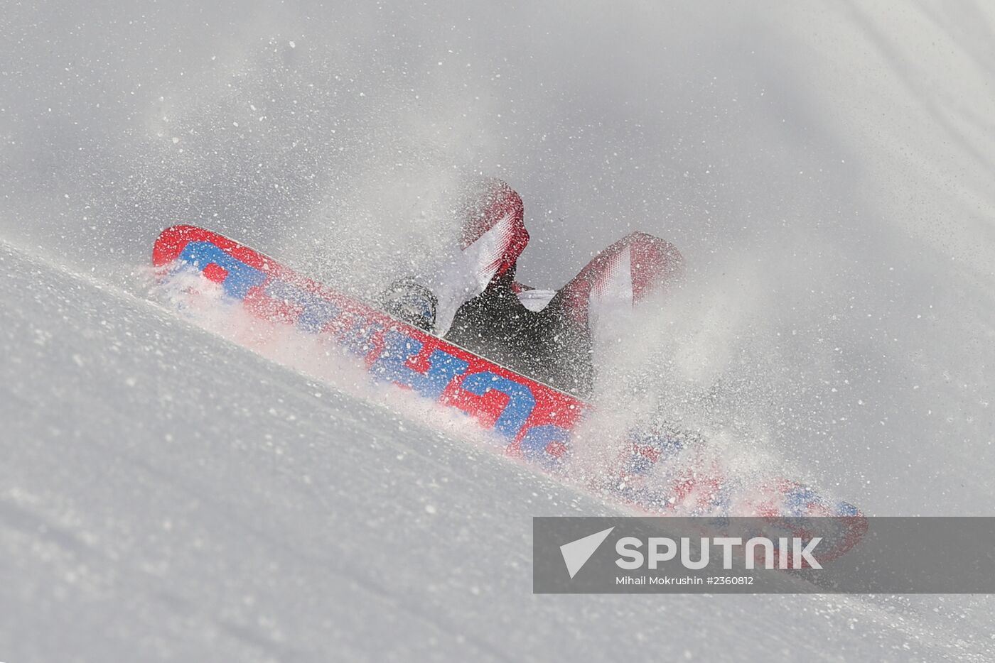 2014 Winter Olympics. Snowboarding. Men. Slopestyle. Final