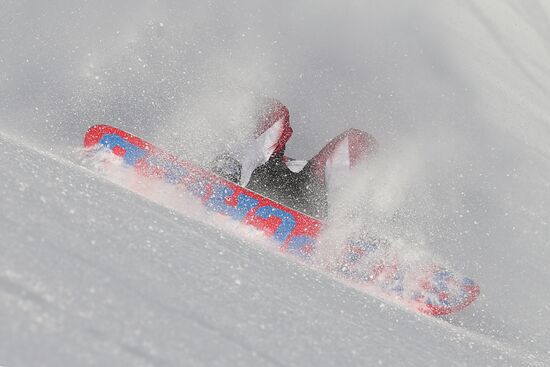 2014 Winter Olympics. Snowboarding. Men. Slopestyle. Final