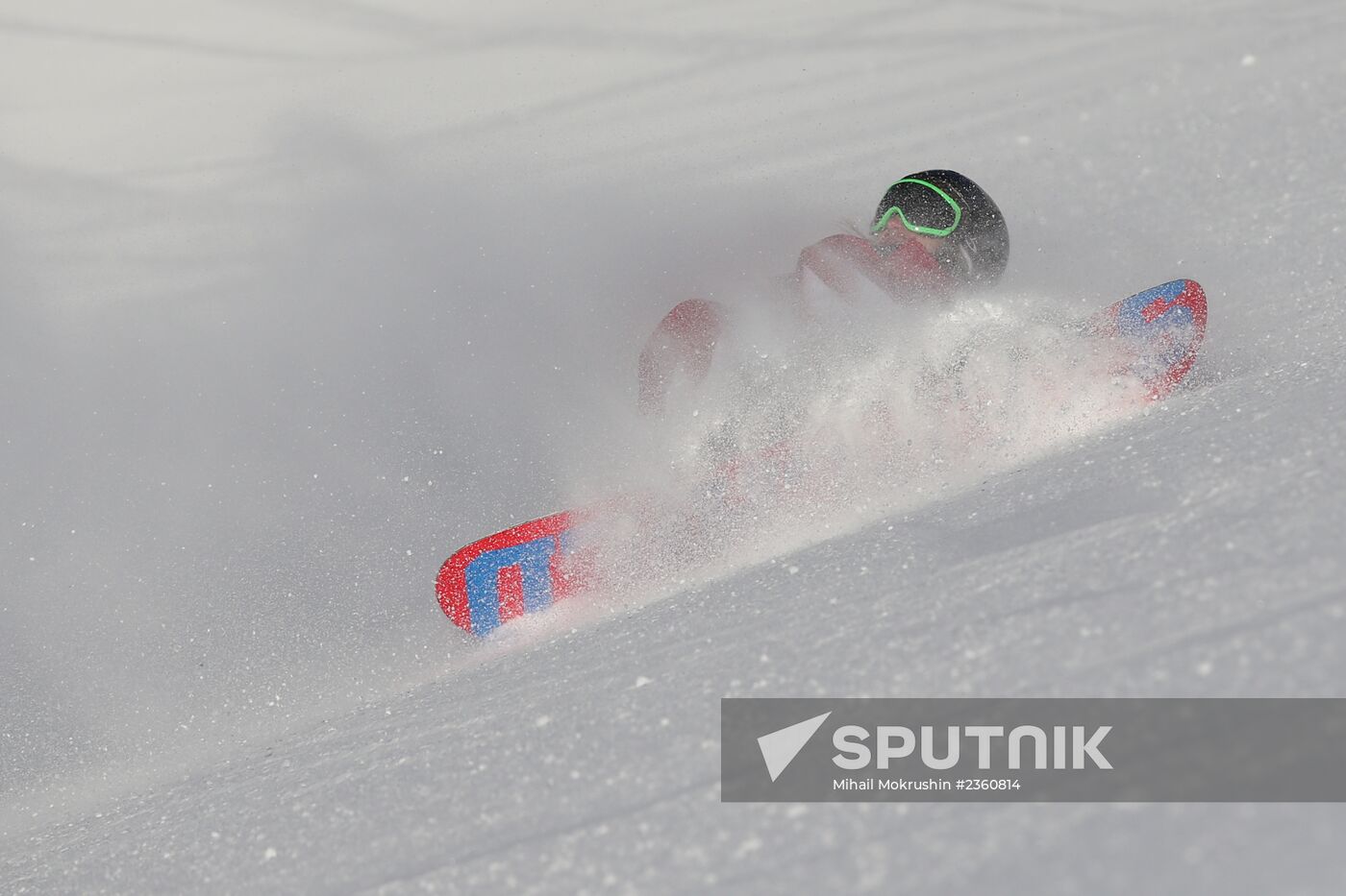 2014 Winter Olympics. Snowboarding. Men. Slopestyle. Final