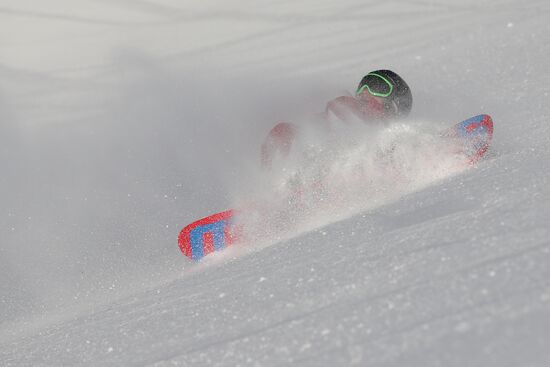 2014 Winter Olympics. Snowboarding. Men. Slopestyle. Final