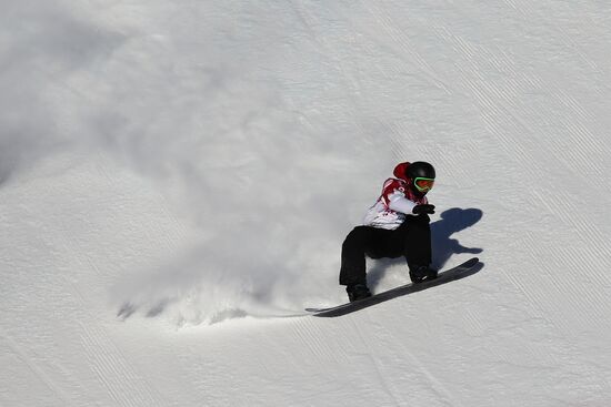 2014 Winter Olympics. Snowboarding. Men. Slopestyle. Final