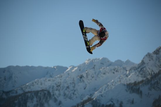 2014 Winter Olympics. Snowboarding. Men. Slopestyle. Final