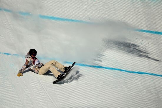 2014 Winter Olympics. Snowboarding. Men. Slopestyle. Finals