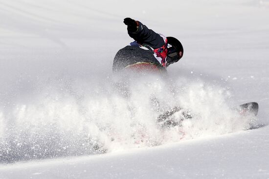 2014 Winter Olympics. Snowboarding. Men. Slopestyle. Finals