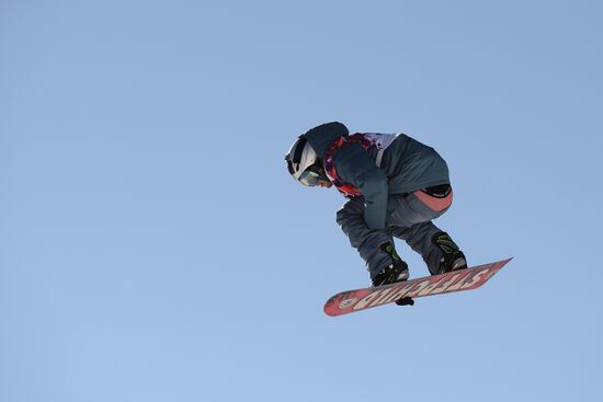2014 Winter Olympics. Snowboarding. Men. Slopestyle. Finals