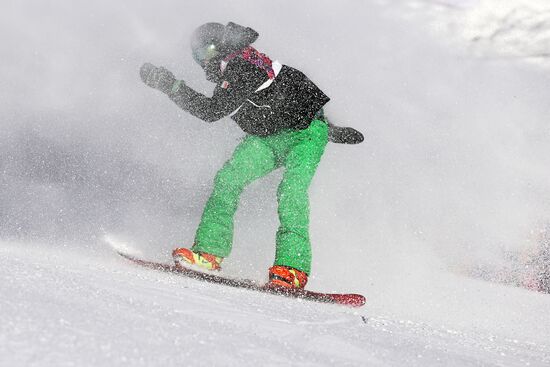2014 Winter Olympics. Snowboarding. Men. Slopestyle. Finals