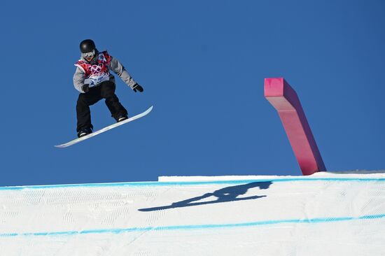 2014 Winter Olympics. Snowboarding. Men. Slopestyle. Finals