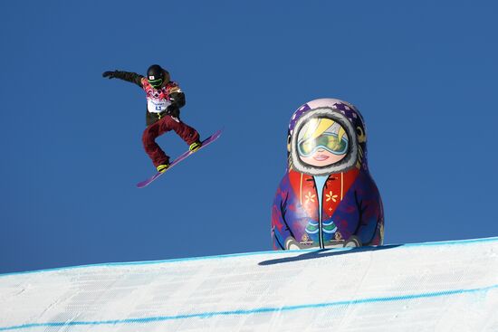 2014 Winter Olympics. Snowboarding. Men. Slopestyle. Finals