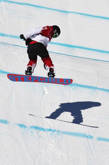 2014 Winter Olympics. Snowboarding. Men. Slopestyle. Finals