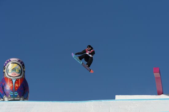 2014 Winter Olympics. Snowboarding. Men. Slopestyle. Finals