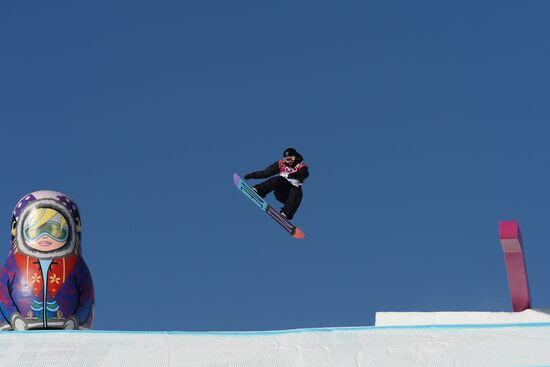 2014 Winter Olympics. Snowboarding. Men. Slopestyle. Finals