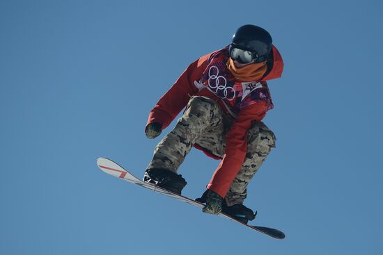2014 Winter Olympics. Snowboarding. Men. Slopestyle. Finals