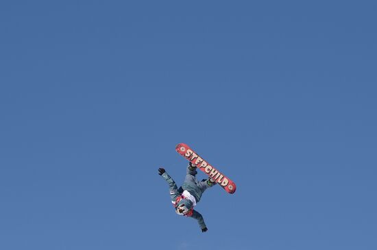 2014 Winter Olympics. Snowboarding. Men. Slopestyle. Finals