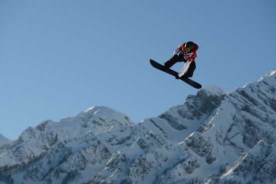 2014 Winter Olympics. Snowboarding. Men. Slopestyle. Finals